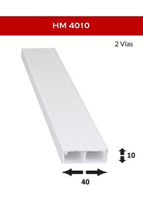19-4010